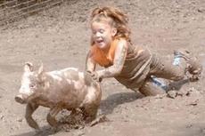 greased+pig.jpg
