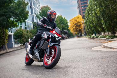 z500_3.jpg