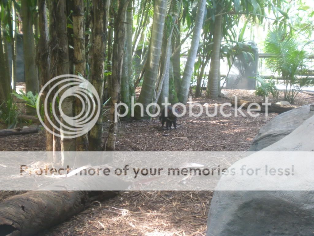 DSCN3830.jpg