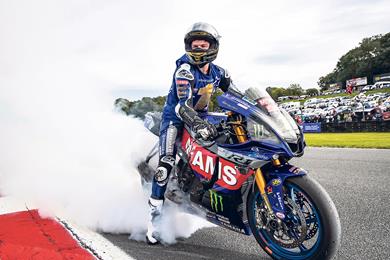 Taz-Mackenzie-Brands.jpg