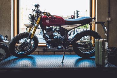 Mutt-Razorback-125.jpg