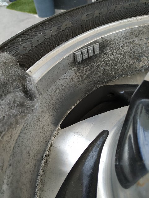 IMG-20200504-154217.jpg