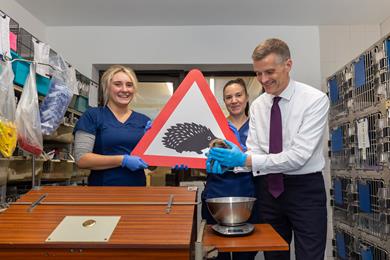 dfe-hedgehog1.jpg