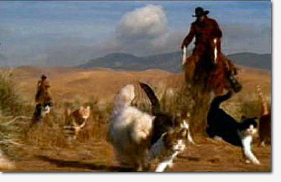 HerdingCats.jpg