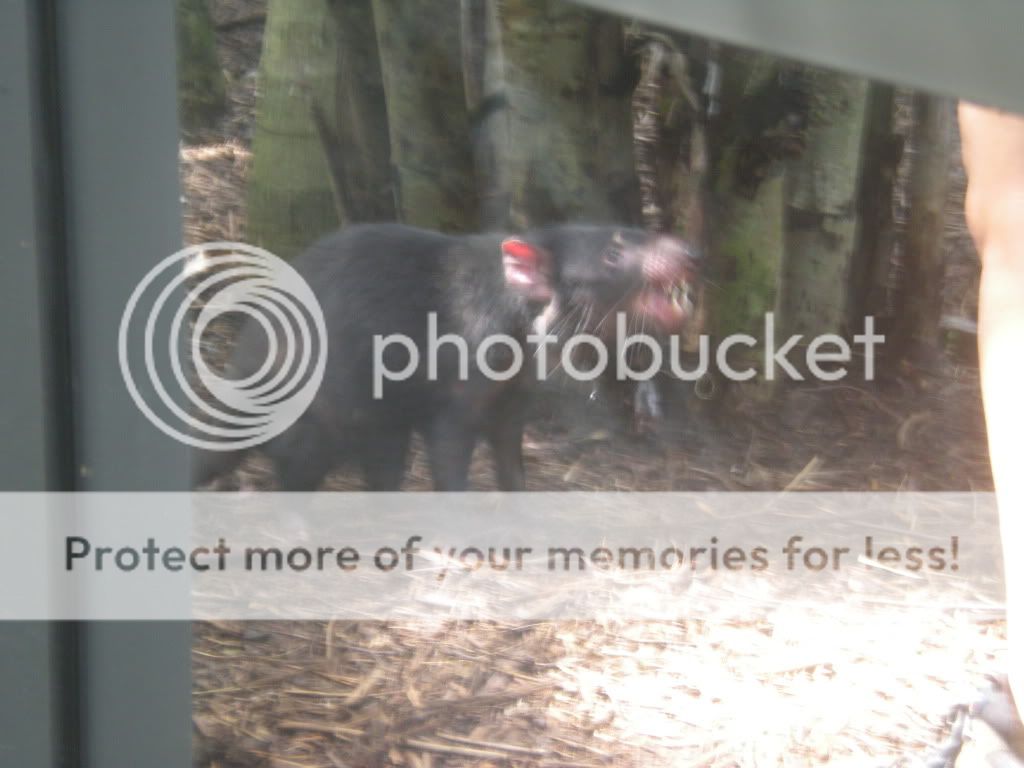 DSCN3832.jpg