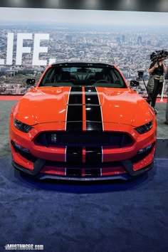 2c344b3f1f5b8d1a2153250ee093ad3a--ford-shelby-shelby-mustang.jpg