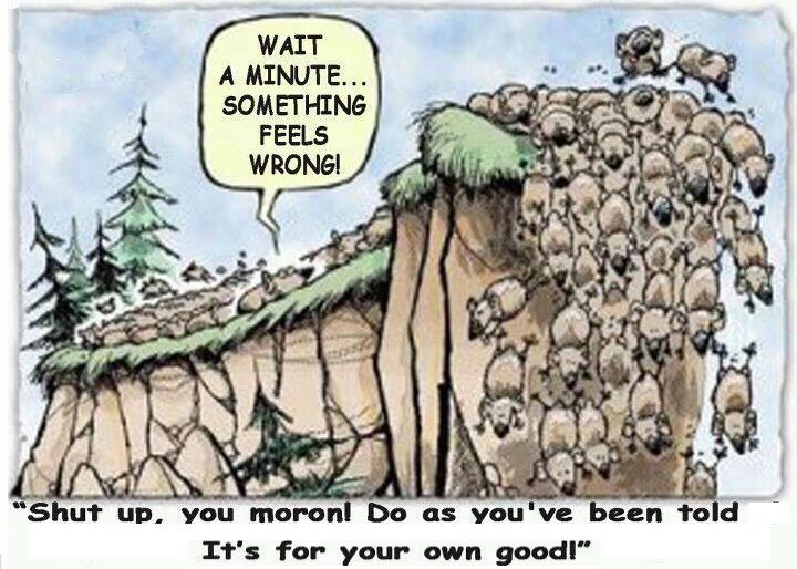 Lemmings-at-the-cliff.jpg