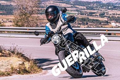 guerrilla-450-2.jpg